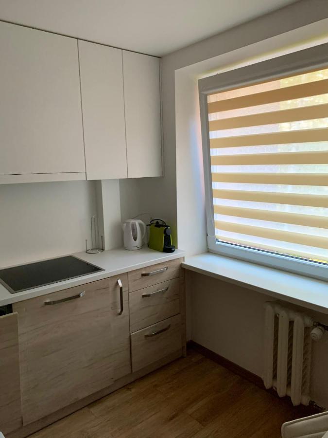 Alytus Apartament Extérieur photo