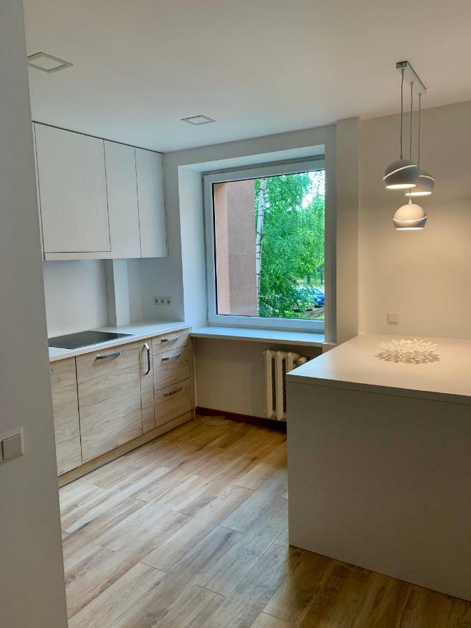 Alytus Apartament Extérieur photo
